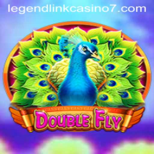 DoubleFly: An Unforgettable Casino Adventure